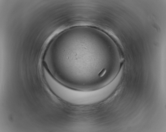 X0000114691181200910211306