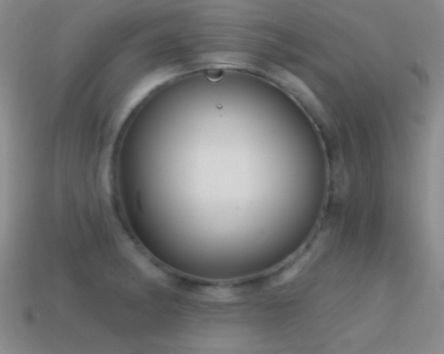 X0000114691182200910211306