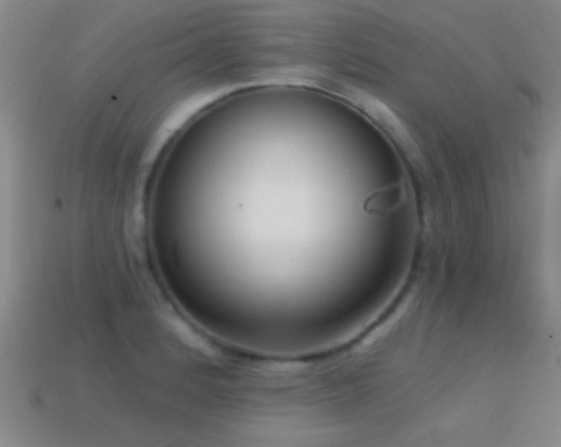 X0000114691184200910211306
