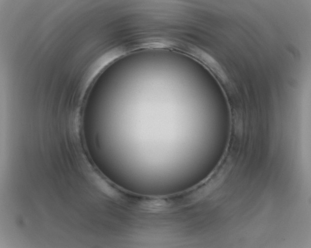 X0000114691186200910211306
