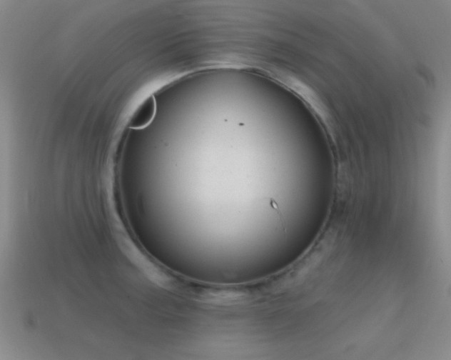 X0000114691187200910211306
