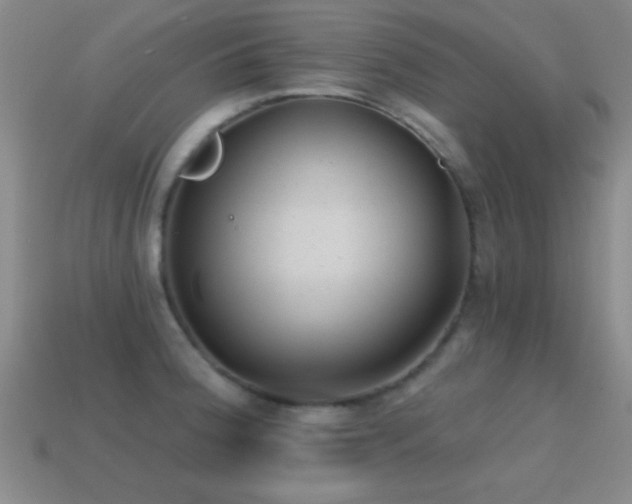 X0000114691188200910211306