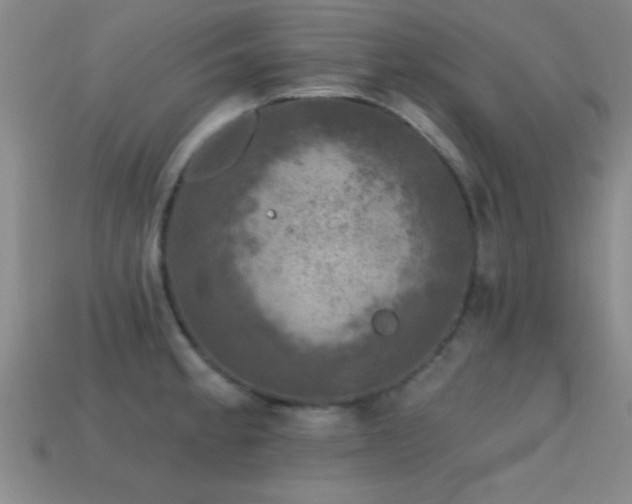 X0000114691189200910211306