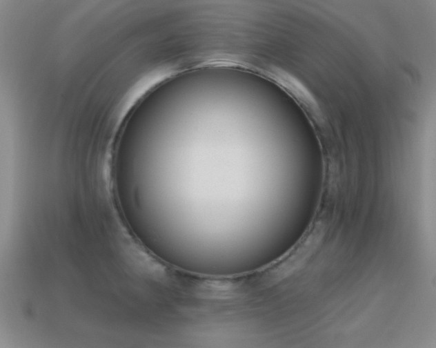 X0000114691190200910211306