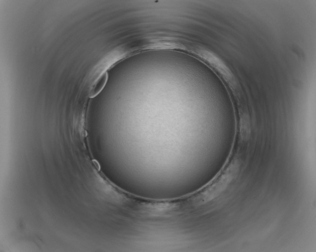 X0000114691193200910211306