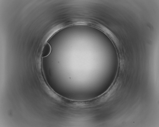 X0000114691194200910211306