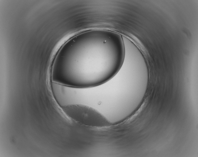 X0000114691196200910211306
