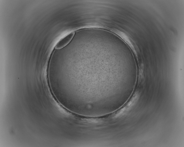 X0000114691197200910211306