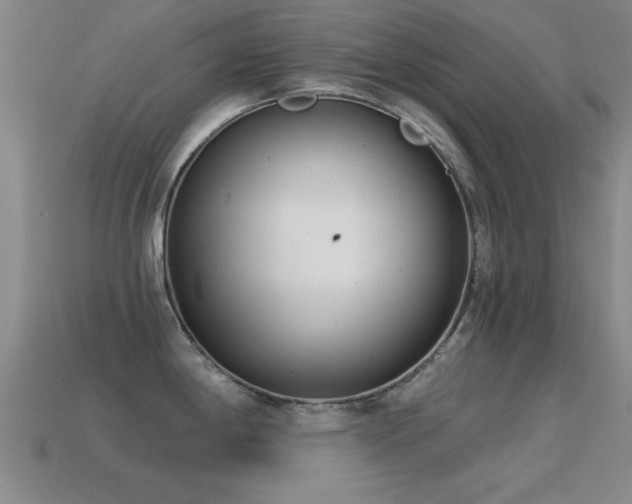 X0000114691198200910211306