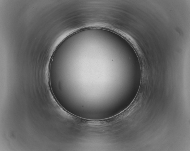 X0000114691199200910211306
