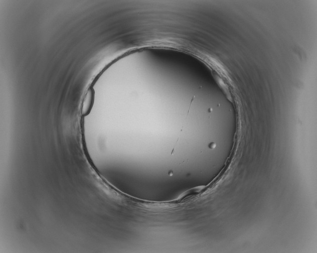 X0000114691200200910211306