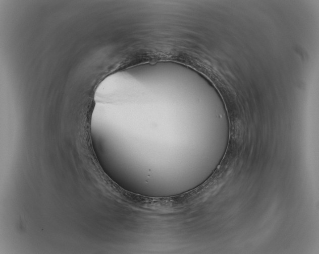 X0000114691201200910211305