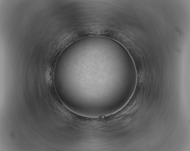 X0000114691202200910211305