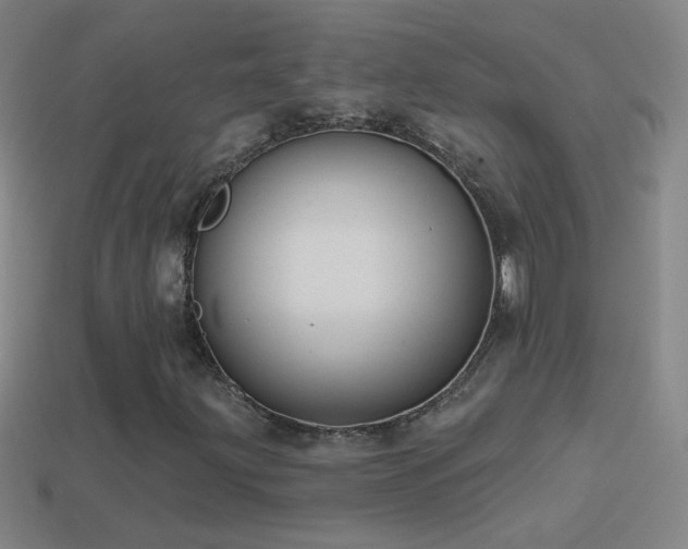 X0000114691203200910211305