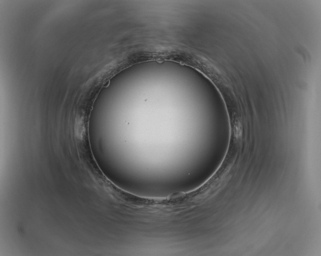 X0000114691204200910211305