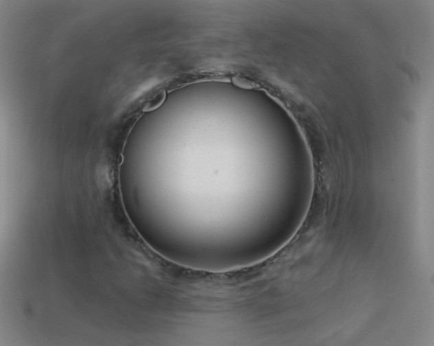 X0000114691206200910211305