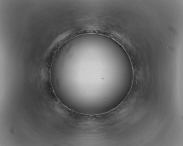X0000114691207200910211305