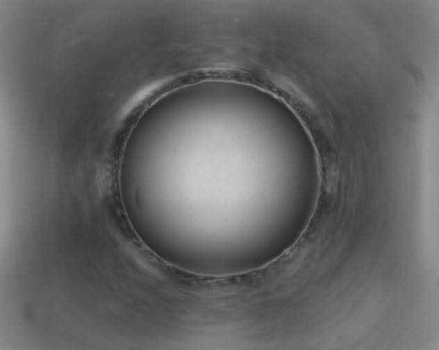 X0000114691208200910211305