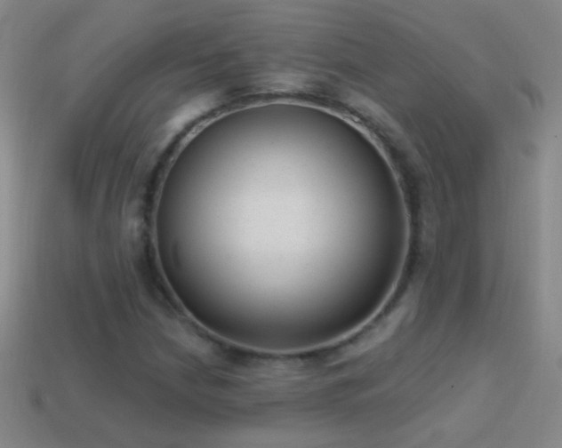 X0000114691210200910211305