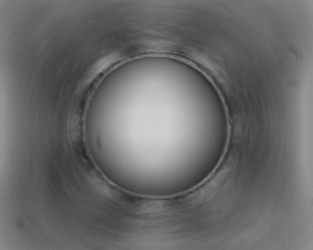 X0000114691211200910211305