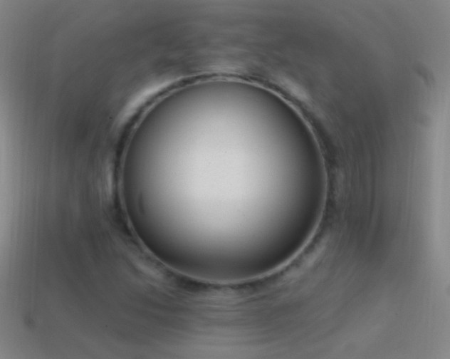 X0000114691214200910211305