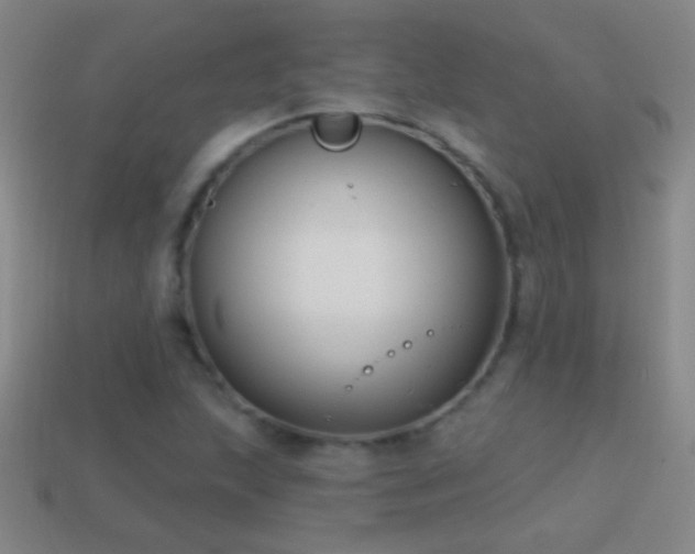 X0000114691215200910211305