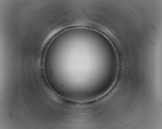 X0000114691216200910211305