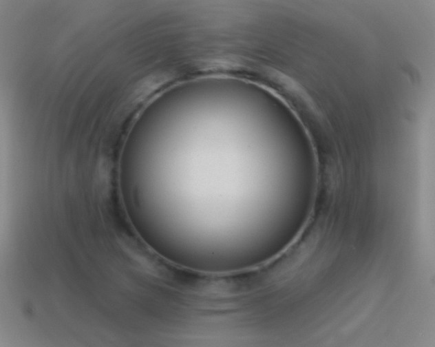 X0000114691217200910211305