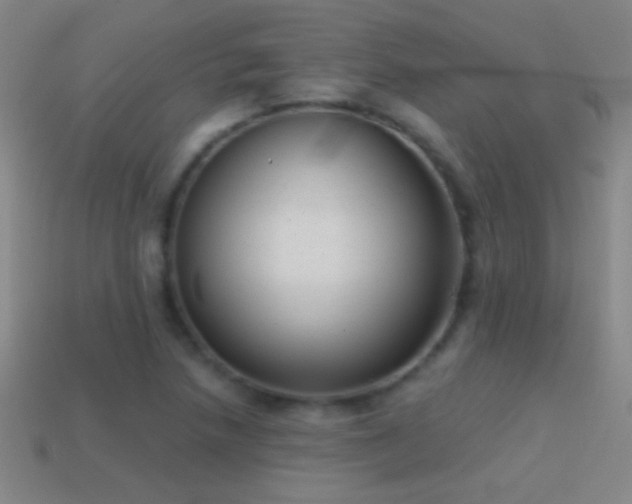 X0000114691218200910211305