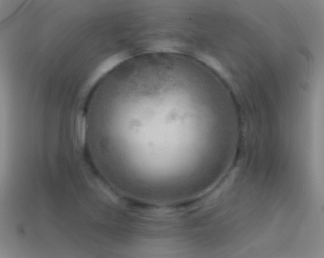 X0000114691219200910211305