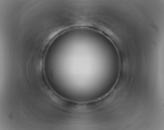 X0000114691220200910211306
