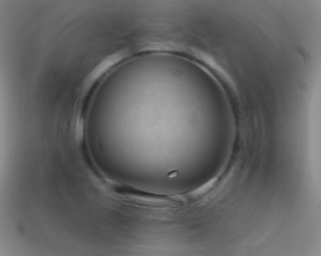 X0000114691221200910211306