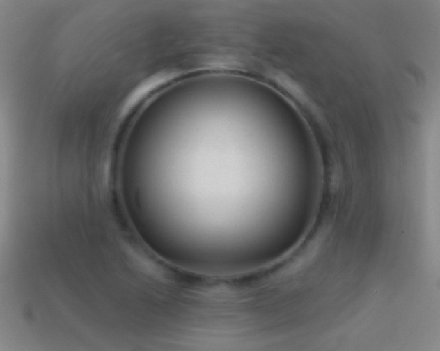 X0000114691222200910211306