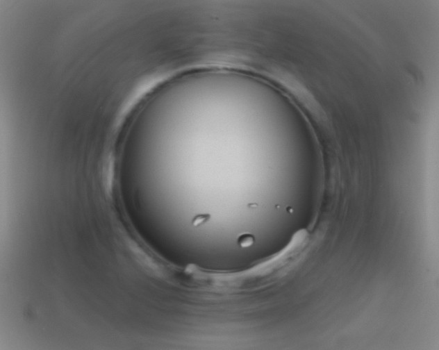 X0000114691224200910211306