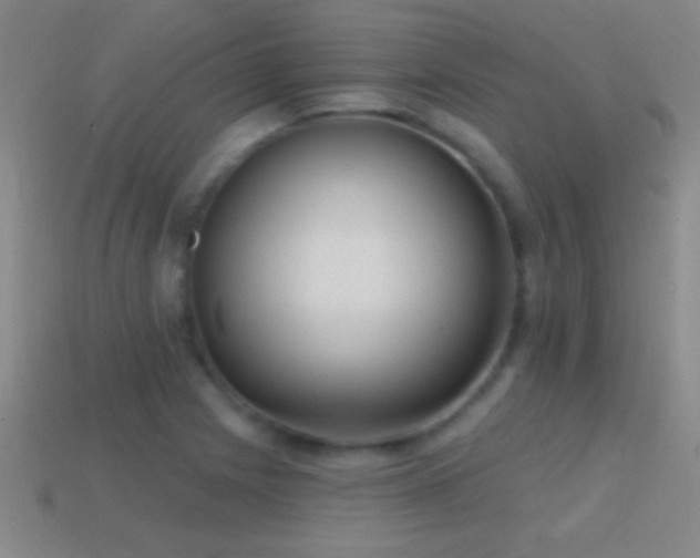 X0000114691225200910211306
