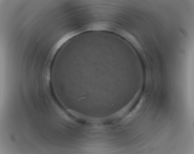 X0000114691226200910211306