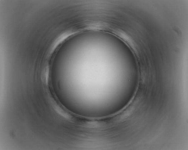 X0000114691227200910211306
