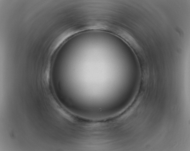 X0000114691228200910211306
