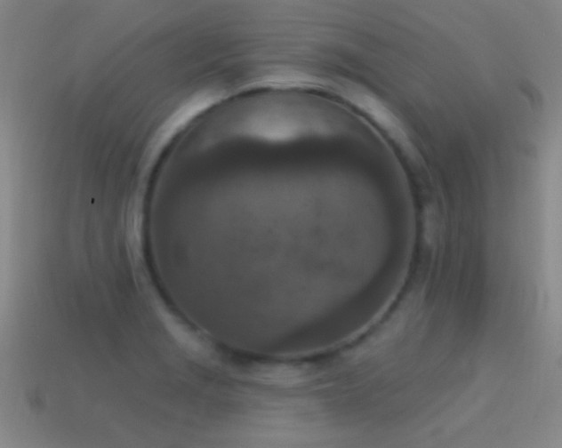 X0000114691229200910211306