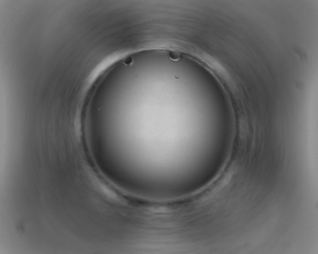 X0000114691230200910211306