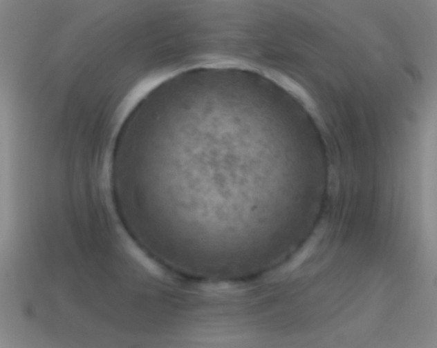 X0000114691231200910211306