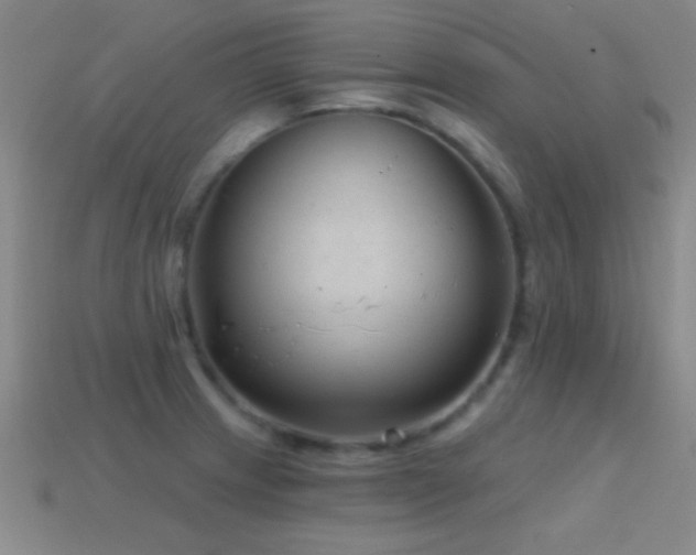 X0000114691233200910211306