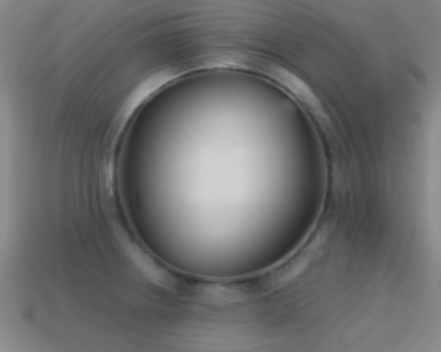 X0000114691234200910211306