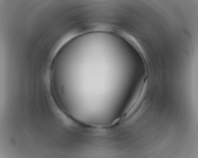X0000114691235200910211306