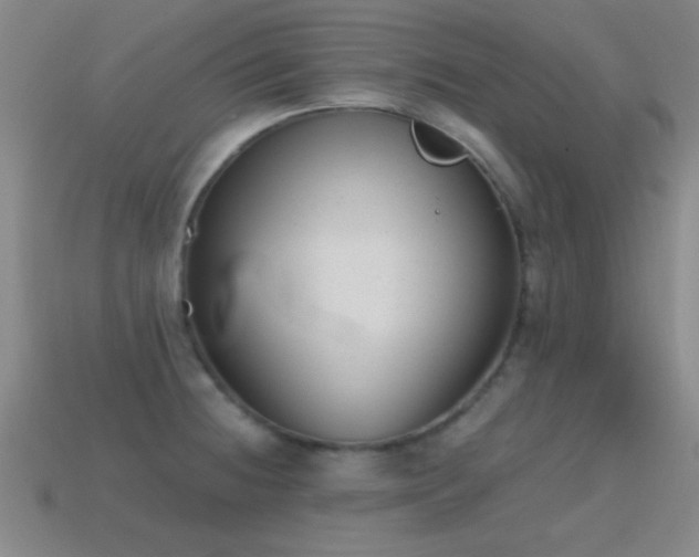 X0000114691236200910211306