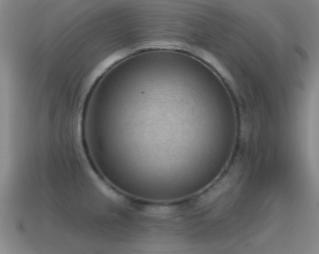 X0000114691237200910211306