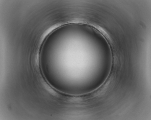X0000114691238200910211306