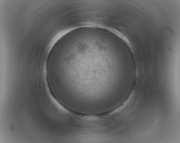 X0000114691239200910211306