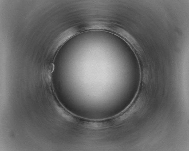 X0000114691241200910211306