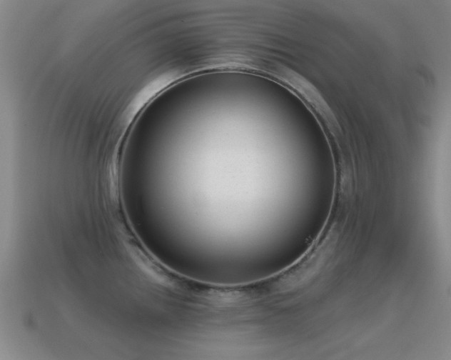X0000114691242200910211306